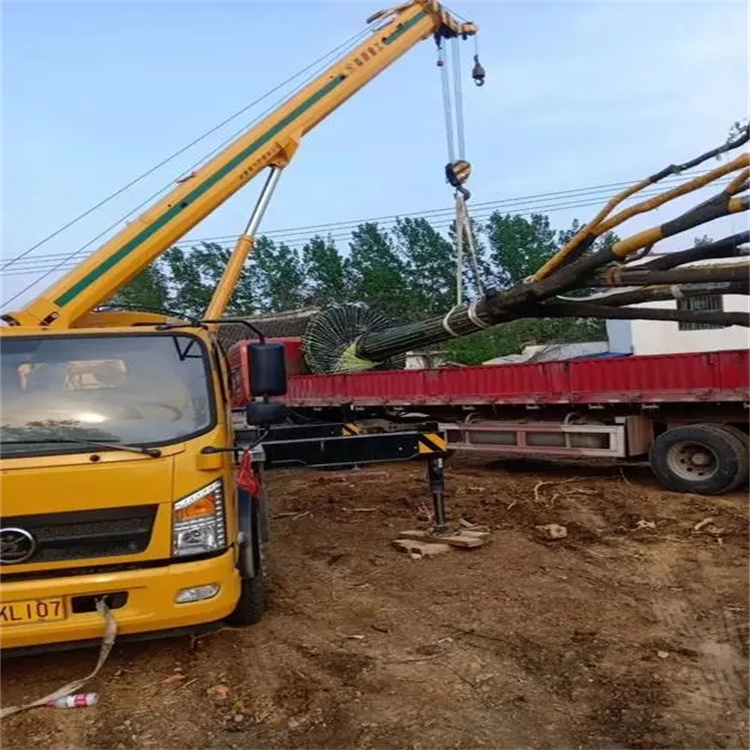 通城100吨吊车租赁费用怎么算？3大关键因素+省钱技巧全解析